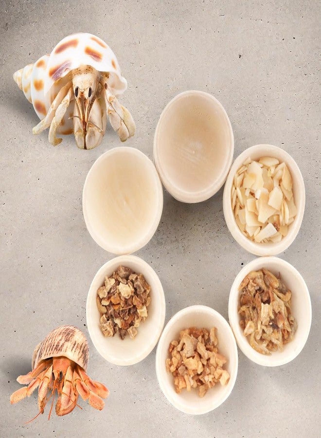 DQITJ 6 Pcs Hermit Crab Food Bowl Small Wooden Feeding Dish for Hermit Crab Snail Millipede Insect - Image 1